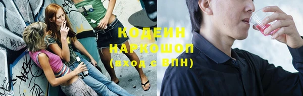 мяу мяу кристалл Арсеньев