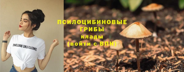 соль курить ск Армянск
