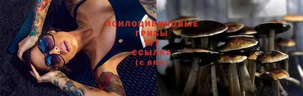 соль курить ск Армянск
